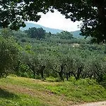 Sasso Rosso Capodacqua (Assisi)