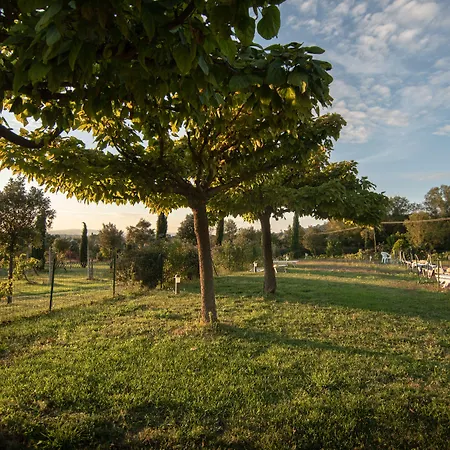 Otel Sasso Rosso Capodacqua (Assisi)