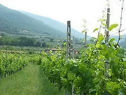 Sasso Rosso 3* Capodacqua
