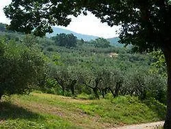 Sasso Rosso Capodacqua (Assisi)